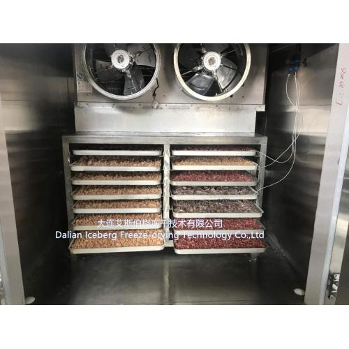 Meat Vacuum Freeze-drying machine