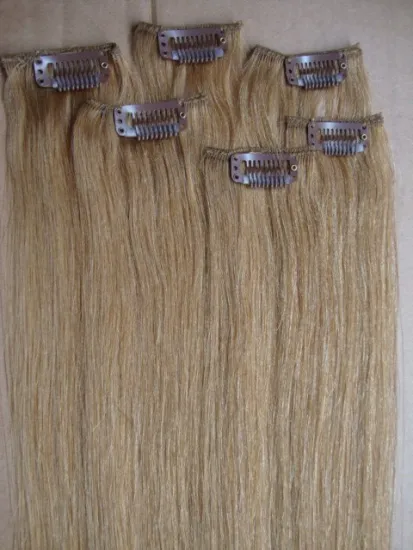 Clip in Human Hair Extension
