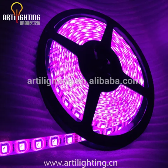 Super bright 12v 24v 220v chasing led rope light strip lighting