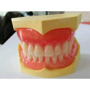 Two Layers Synthetic Resin Teeth for Sale