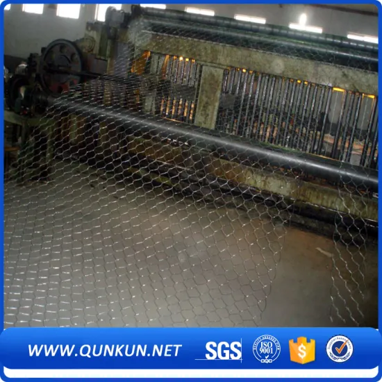 Galvanized Hexagonal Wire Mesh