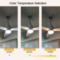 indoor installation modern style ceiling fan light