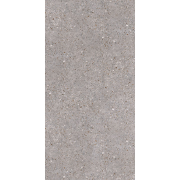 Πλακάκια Terrazzo Look 600*1200 Rustic Matt Porcelain