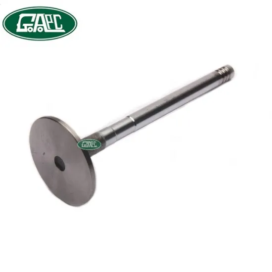 ERR3777 Intake Inlet Valve VL169400 V91988 GL0673 - Land Rover Defender LR Spare Parts Factory Price Online