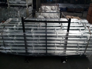 Rizhao Factory HDG Layher Scaffolding Rosette Standard (FF-9103)