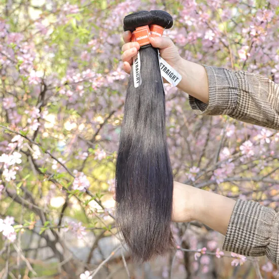 Free sample hair bundles wholesale virgin brazilian human hair bundle distributors, 100% raw human hair extensions factory