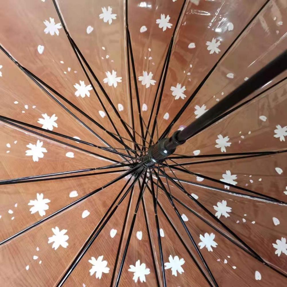 Long Handle Umbrella In Transparent POE Fabric