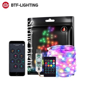 แอป BTF Lighting การจัดกลุ่มตาข่ายการควบคุมการจัดกลุ่ม LED สตริงคริสต์มาสพร้อมพอร์ต USB