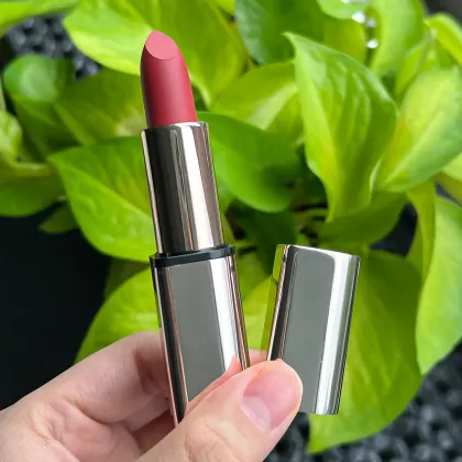 Customizable Vegan Matte Brown Lipstick: Hydrating and Long-lasting Wholesale Makeup