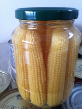 2016 New Arriving Baby Canned Corn