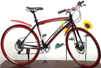 Race Bicycle/Road Bicycle