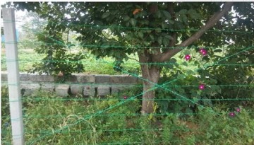 16 Gauge 500m barbed wire