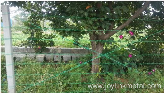 16 Gauge 500m barbed wire