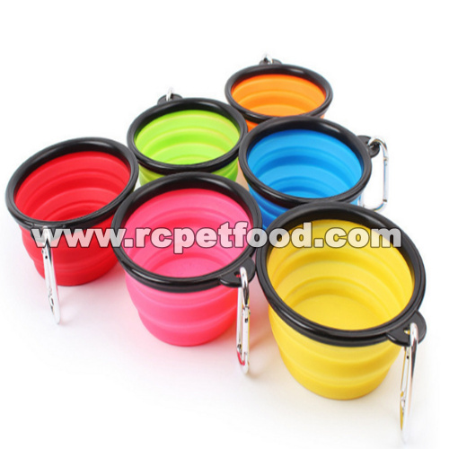 slow feed dog bowl