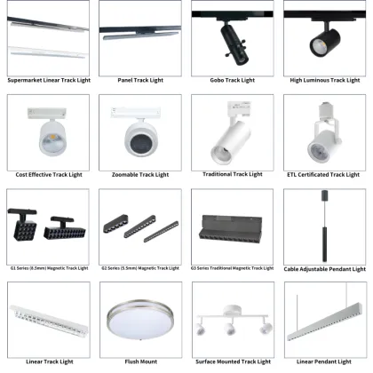 RONSE J Light R501 Juno Simp Hangng Erco LED Track Lighting System