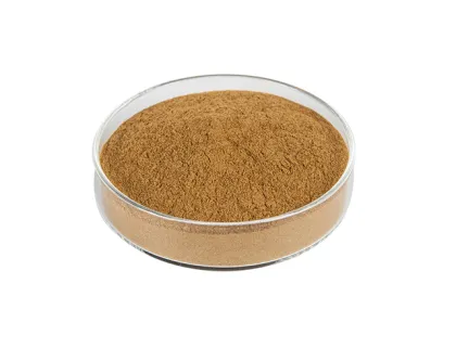 White button mushroom extract 10%-50% Polysacchrides