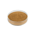 White button mushroom extract 10%-50% Polysacchrides