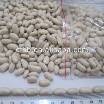 White kidney beans Spanish shape