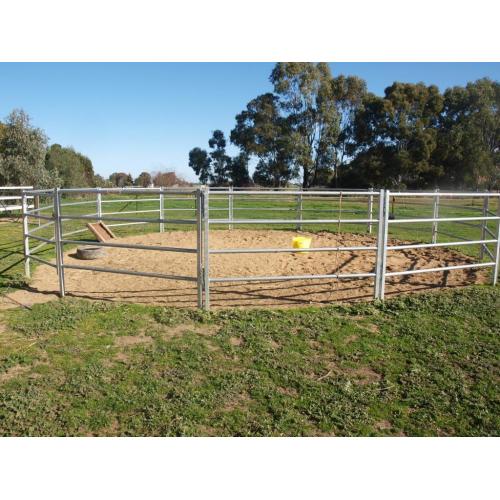 corral sheep lowes cattle panels horse fence