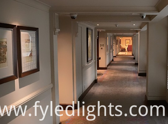 Living Room Ceiling Light China Manufacturer