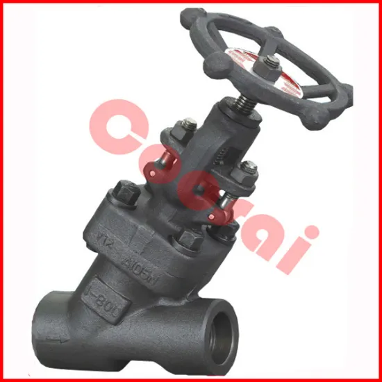 China A105 y type globe valve