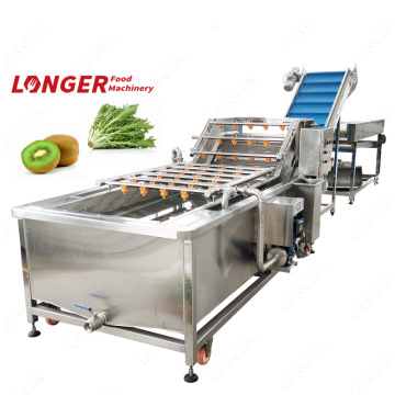 Industrial Air Bubble Ozone Washing Machine for Fruits and Vegetables