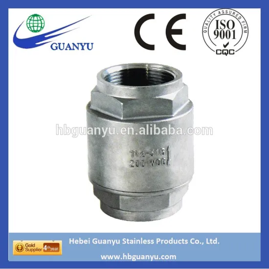 304 316 stainless steel 2-pc spring loaded check valve, bsp threaded