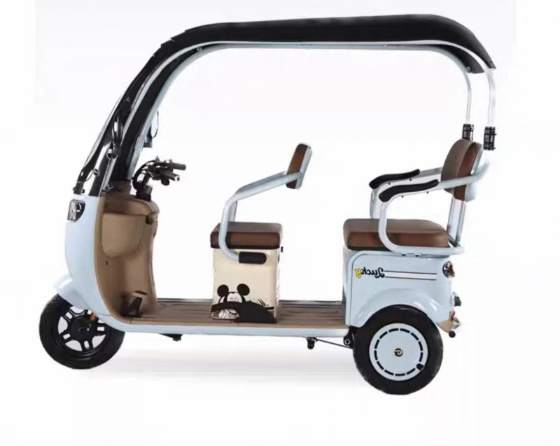Household commuting Electric leisure tricycle with canopy