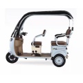 Household commuting Electric leisure tricycle with canopy