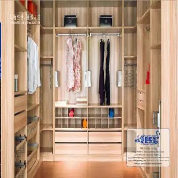 Modern Walk In Closet