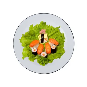 Round Plate Sushi Plate Dinner Plate