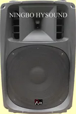 Plastic Speaker (HYR)