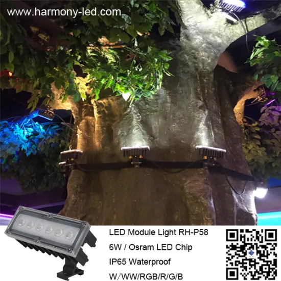 DC24V 6W Waterproof RGB DMX LED Module Light
