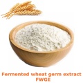 Wheat Germ Extract / Fermented Wheat Germ Extract