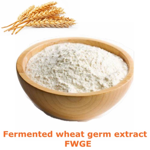 Extracto de germen de trigo / extracto de germen de trigo fermentado