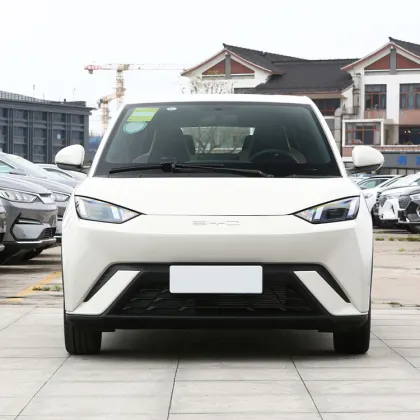 BYD Seagull Sea Gull Modern Auto Electric Vehicle
