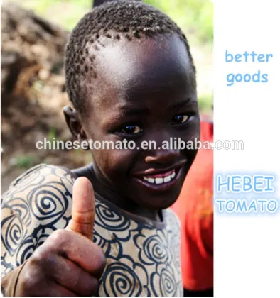 jumbo taste seasoning cube for Africa