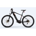 E Fahrrad Lithium -Batterie -Fahrrad