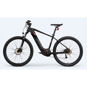 Hardtail adulto personalizado ebike