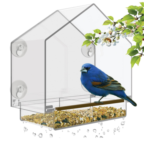 Customized Hummingbird Bird Feeder Best Seller