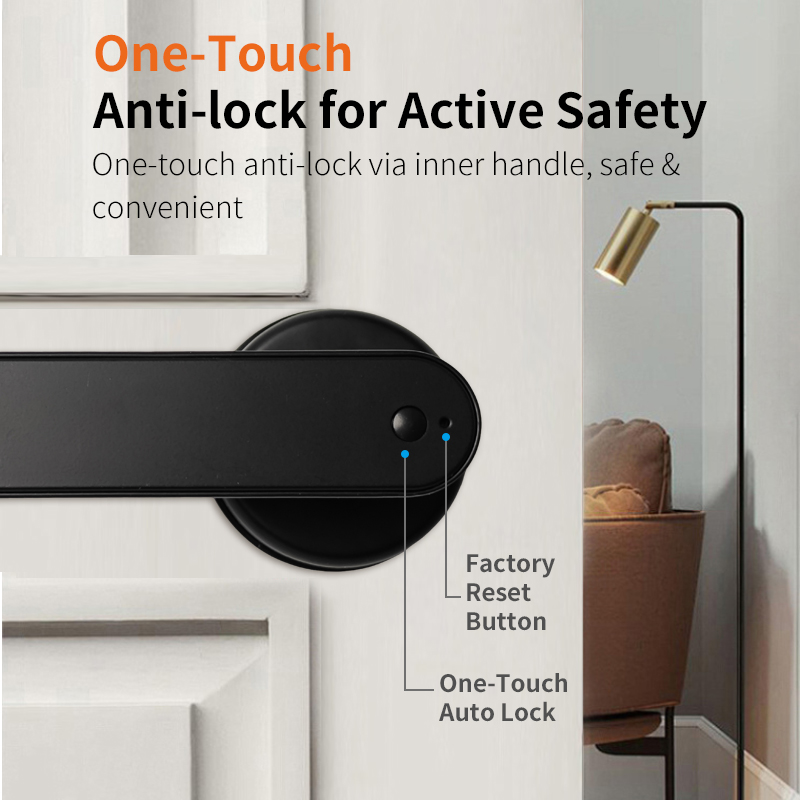 tuya smart door handle lock