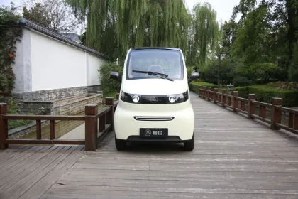 Chinese Electric Vehicle Electric Cars