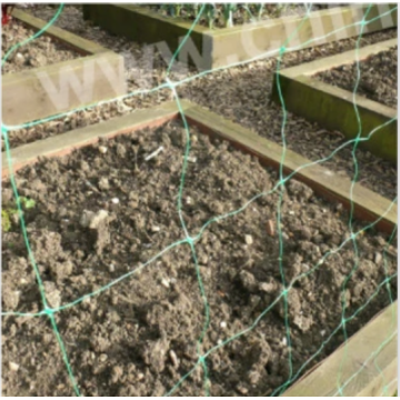 Rede plástica expulsa do jardim da agricultura da malha