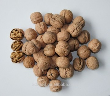 Shanxi Fenyang Ordinary Walnuts in Shell,raw walnuts,Thin skin