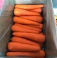 Cenouras vermelhas de legumes, exportando o campo