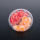 PET Round Clear Transparent Plastic Fruit Food Box