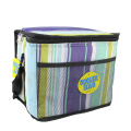 Raffreddatore da campeggio Picnic Cool Bag