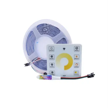 Tunable White 24V 120LED CCT Horse Race LED Strip