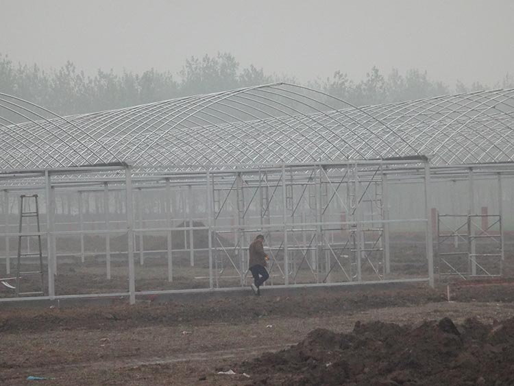 Multi Span Greenhouse Frame