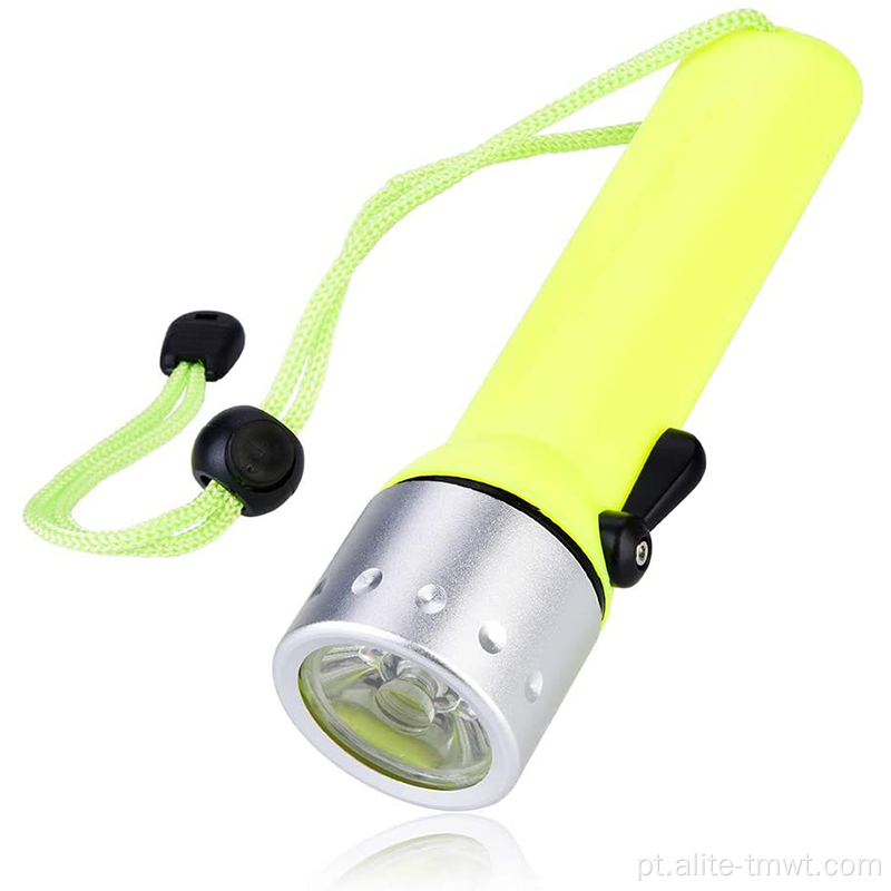 Luz de pesca LED de mergulho com tocha de borracha